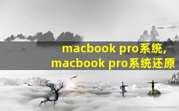 macbook pro系统,macbook pro系统还原